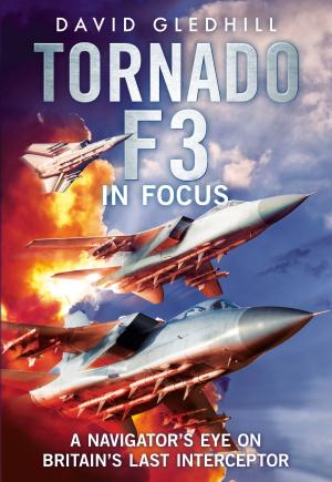 Cover of the book Tornado F3 by David Albright