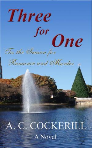 Cover of the book Three for One (A Novel) by Midrena Scott