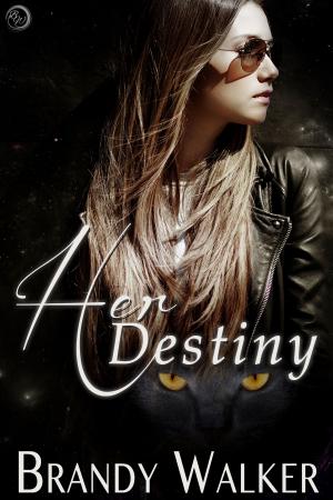 Cover of the book Her Destiny by Laura Pauling
