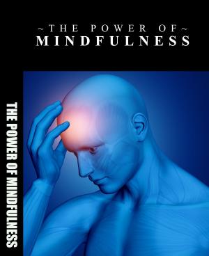 Cover of the book The Power of Mindfulness by SoftTech