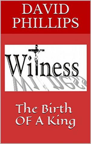 Cover of the book Witness The Birth Of A King by Stephen Hedges