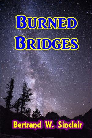 Cover of the book Burned Bridges by T.W. Anderson