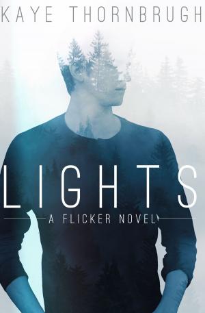 Cover of the book Lights by Nancy Brumbelow