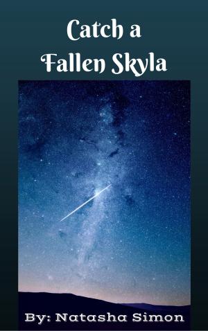 Book cover of Catch a Fallen Skyla