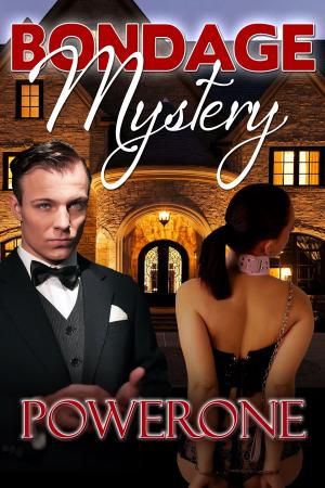 Cover of the book Bondage Mystery by Raquel Rivers