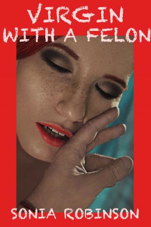 Cover of the book Virgin with a Felon by Mary Lewis, Robin Labron