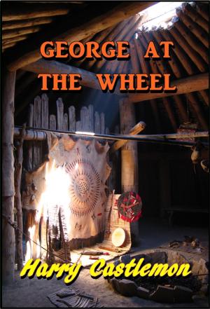 Book cover of George at the Wheel