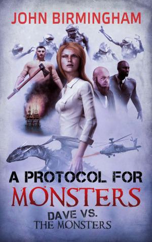 Cover of the book A Protocol for Monsters by Lisa G. Riley