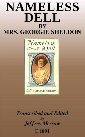 Cover of the book Nameless Dell by Linn Boyd Porter, Albert Ross