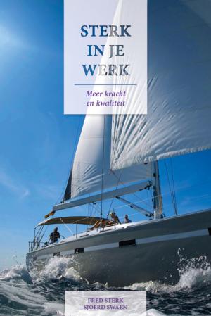 Book cover of Sterk in je Werk