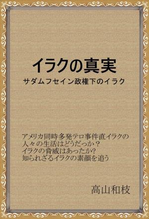 Cover of the book イラクの真実 by Kat Duff