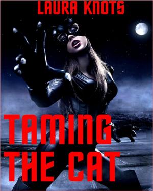 Cover of the book Taming the Cat by Neale Sourna