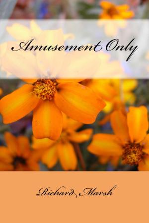 bigCover of the book Amusement Only (Illustrated Edition) by 