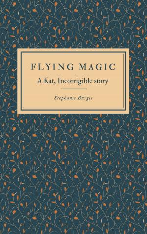 Cover of the book Flying Magic by Émile Chevalier