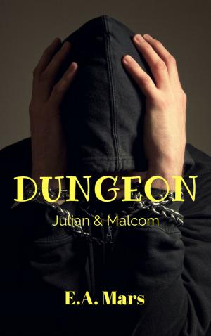 Book cover of Dungeon