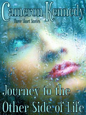 Cover of the book Journey to the Other Side of Life by Sue Star