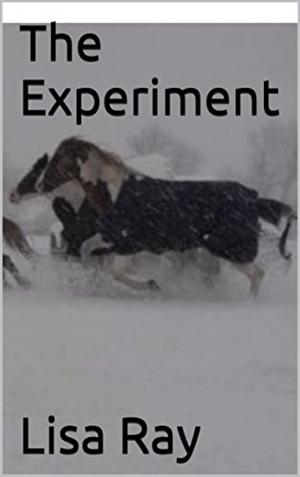 Cover of the book The Experiment by Nancy Welker