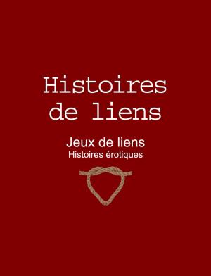 Book cover of Histoires de liens