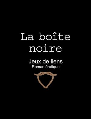 Cover of the book La boîte noire by Kay Jaybee