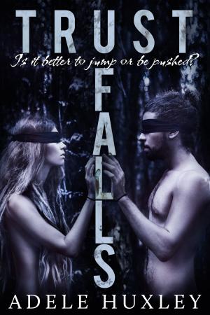 Cover of the book Trust Falls by Frederik Baas