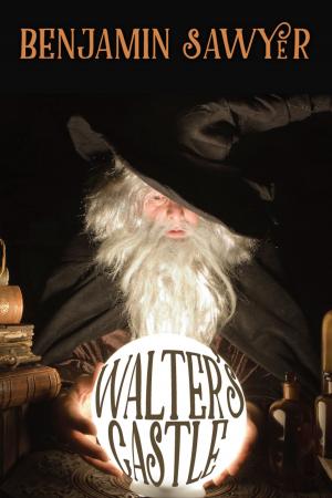 Book cover of Walter's Castle