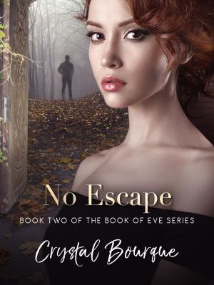Cover of the book No Escape by KT FANNING