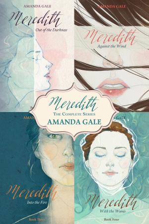 Cover of the book Meredith: The Complete Series by Andra Lake