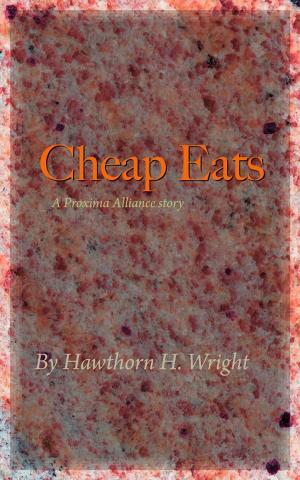 Book cover of Cheap Eats