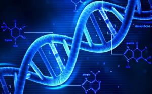 Cover of Il DNA, la prova certa?: biologia molecolare e processo penale trattati in maniera semplice