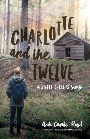 Cover of the book Charlotte and the Twelve by Yakob K. Adhanom