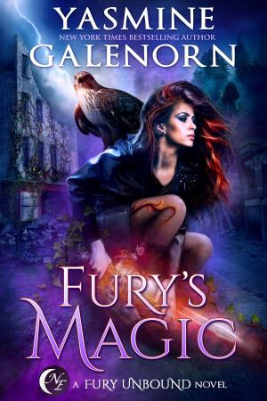 Cover of the book Fury's Magic by RT Worth