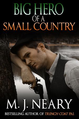 Cover of the book Big Hero of a Small Country by Matthew Costello