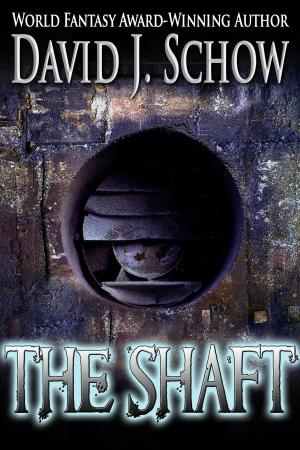 Book cover of The Shaft