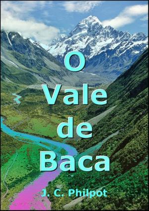 Cover of the book O Vale De Baca by A.J. Cardiais