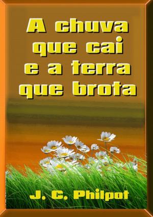 Cover of the book A Chuva Que Cai E A Terra Que Brota by Michelle Barreto Passos