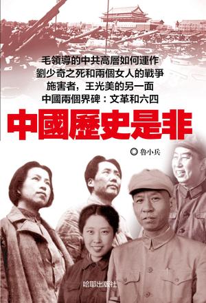 Cover of the book 中國歷史是非 by Simon Goh