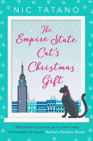 Book cover of The Empire State Cat’s Christmas Gift