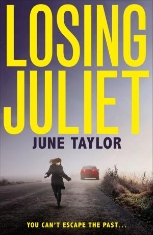 bigCover of the book Losing Juliet by 