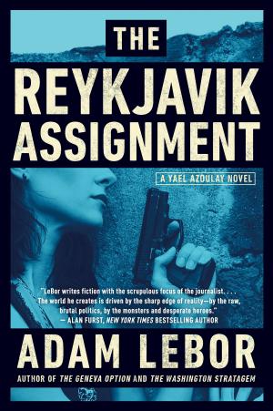 Cover of the book The Reykjavik Assignment by Helen Callaghan