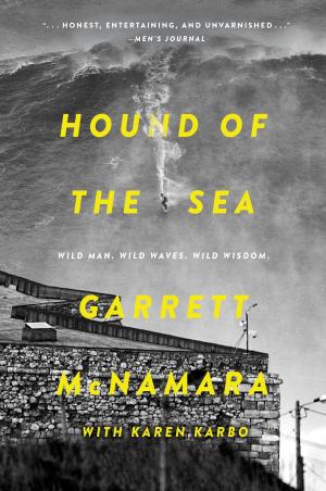Book cover of Hound of the Sea