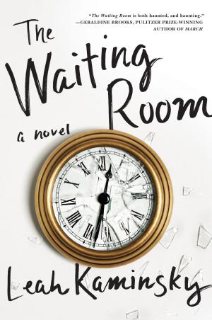 Cover of the book The Waiting Room by Justin Kaplan