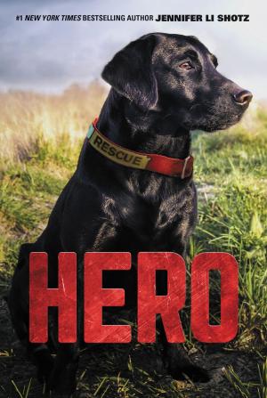 Cover of the book Hero by Andrew Macdonald