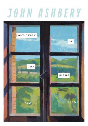 Cover of the book Commotion of the Birds by Katie Salidas