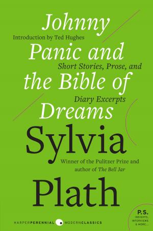 Book cover of Johnny Panic and the Bible of Dreams