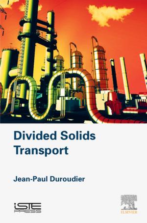Cover of the book Divided Solids Transport by Marc Thompson