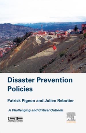 Cover of the book Disaster Prevention Policies by Jay Theodore Cremer, Jr.