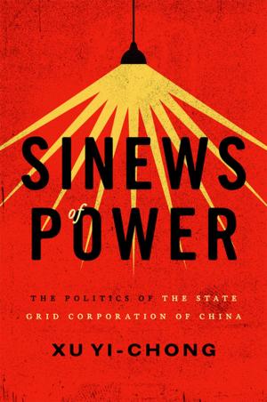Cover of the book Sinews of Power by José Ovalle Favela