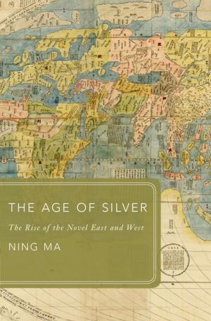 Cover of the book The Age of Silver by Phillip Burrows, Mark Foster