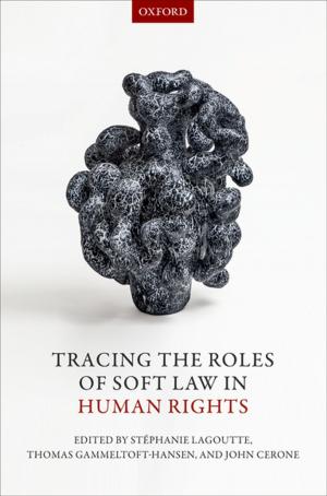 Cover of the book Tracing the Roles of Soft Law in Human Rights by John Waller