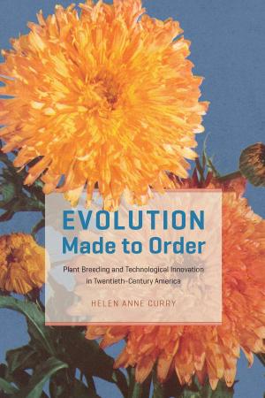 Cover of the book Evolution Made to Order by Caroline A. Jones